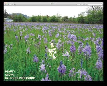 Poetry of the Land Image